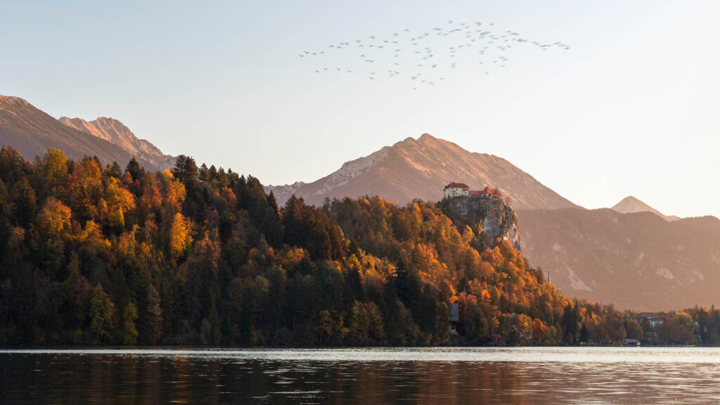 Photo of Lake Bled on an autumn morning. Buy fine art photography prints.