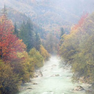 Soca River on a misty autumn morning in Slovenia. Buy fine art photography prints.