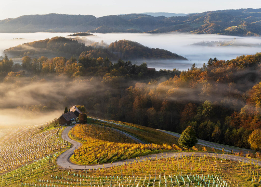 Heart road at Spicnik, Slovenia. Buy fine art photography prints.