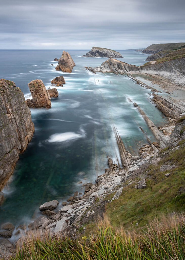 Urros Heather - North Spain