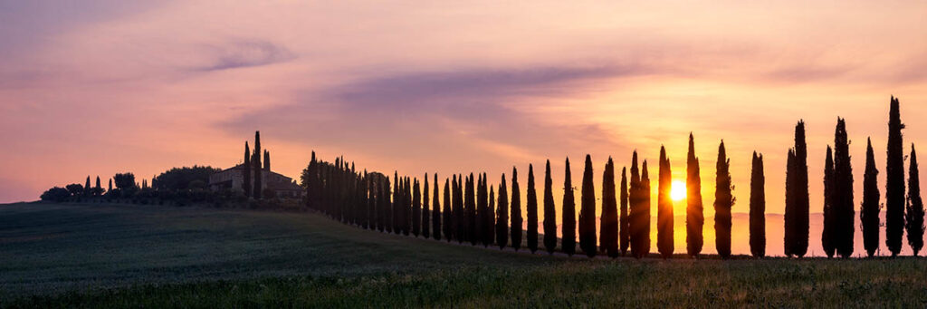 Sunrise behind a row of Cypress Trees in Tuscany, Italy. Buy a fine art print online.