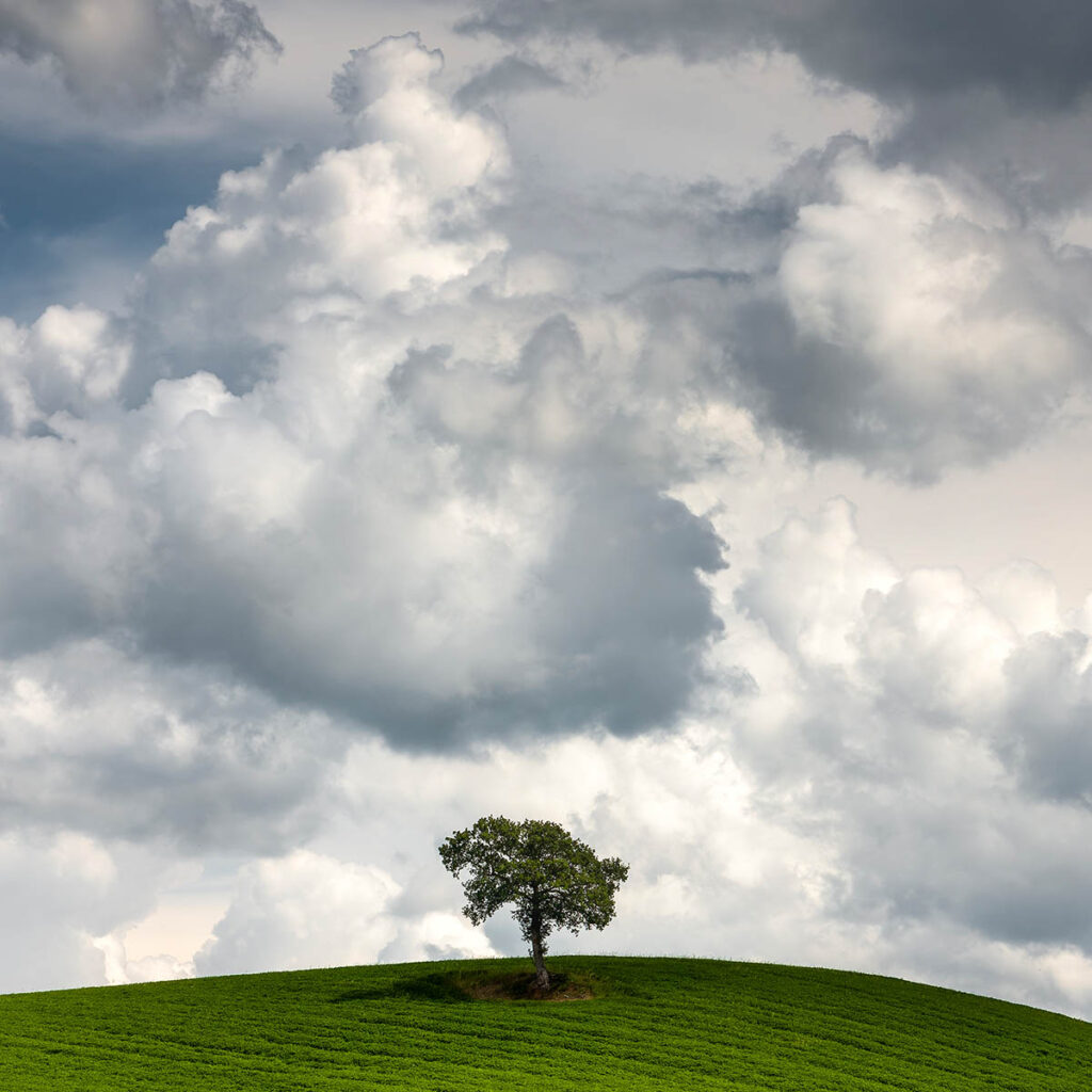 Clouds building behind a Lone tree in Tuscany. Buy fine art prints