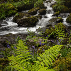 Hidden Falls in Devon, England.