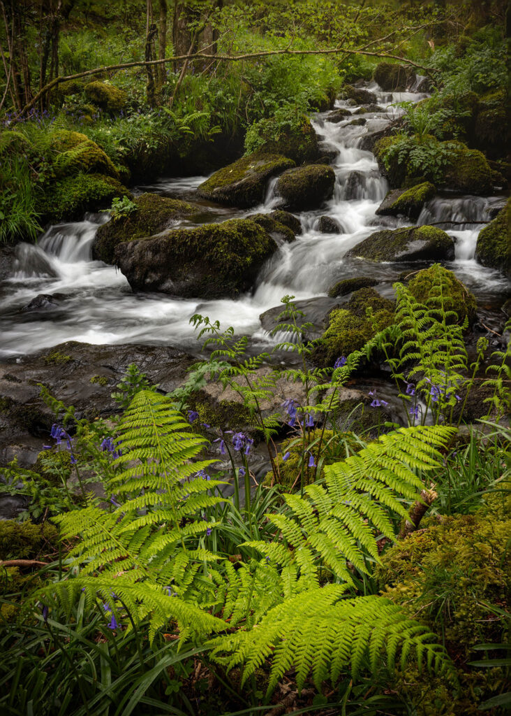 Hidden Falls in Devon, England.