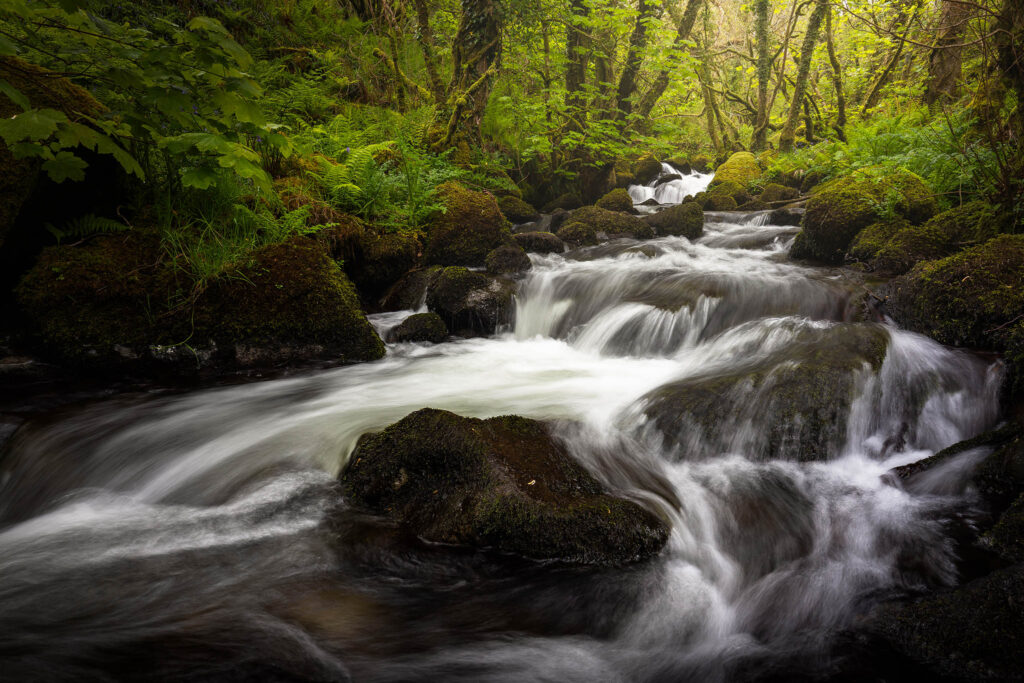 Waterfall on the River Tavey, Devon, England.
