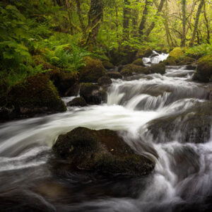 Waterfall on the River Tavey, Devon, England.
