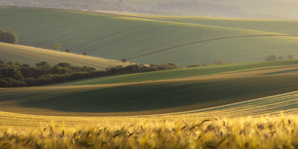 Warming the Downs. South Downs National Park, England.