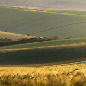 Warming the Downs. South Downs National Park, England.
