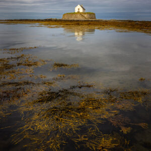The Church and the Seaweed, Anglesey