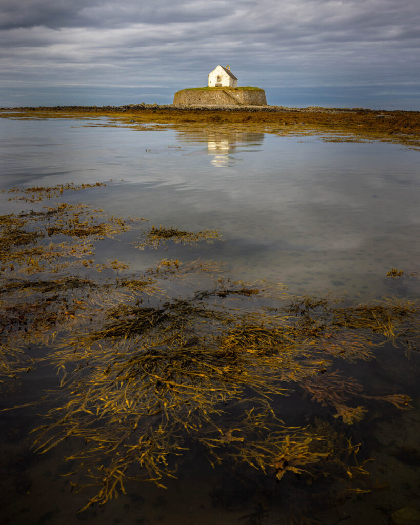 The Church and the Seaweed, Anglesey