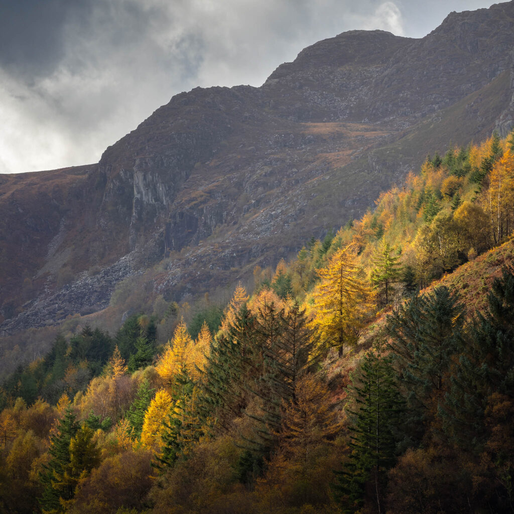 The Secret, Llyn Crafnant, Wales.