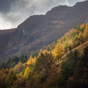 The Secret, Llyn Crafnant, Wales.